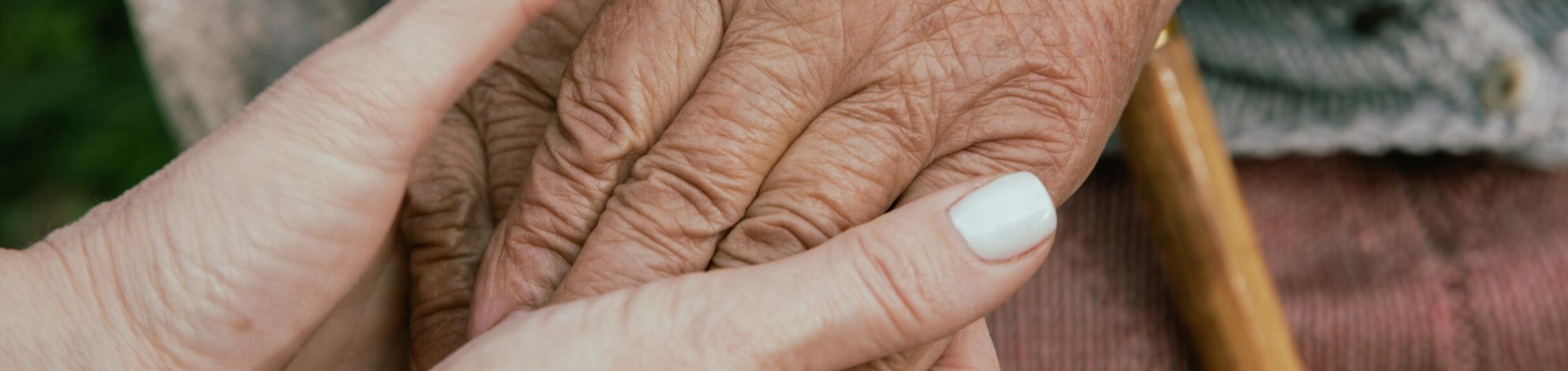 holding hands young person and elder