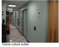 Tissue Culture Suits