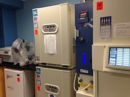 Tissue Culture Suits