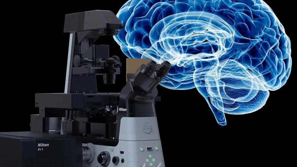 microscope and brain illustration