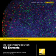 event flyer with fluorescent image