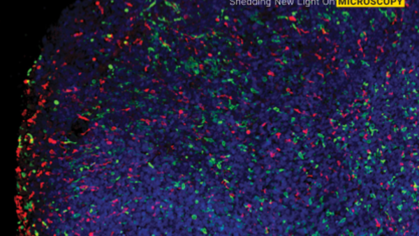 event flyer with fluorescent image