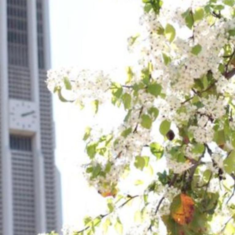 UCR bell tower in the spring