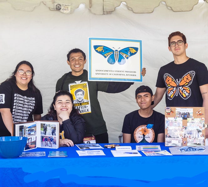 Undocumented Student Programs