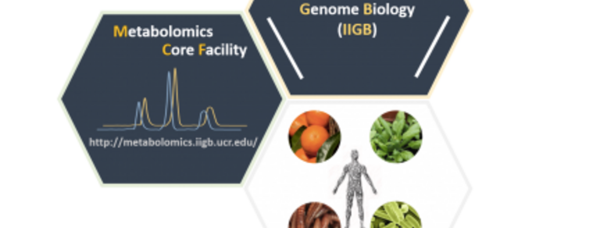 Logo and graphics of facility