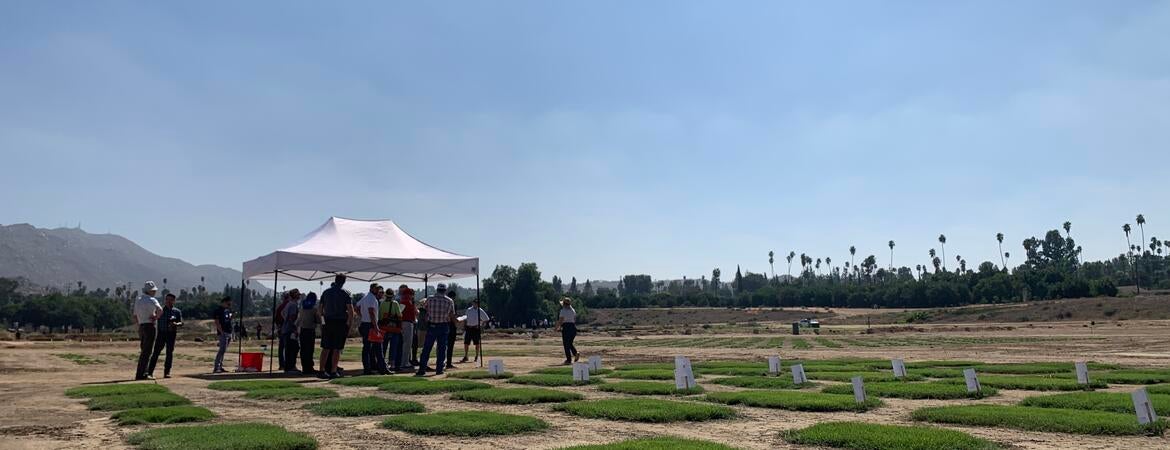 Turfgrass and Landscape field day