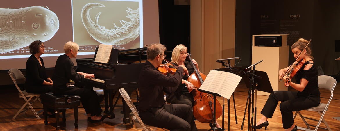 Musicians performing