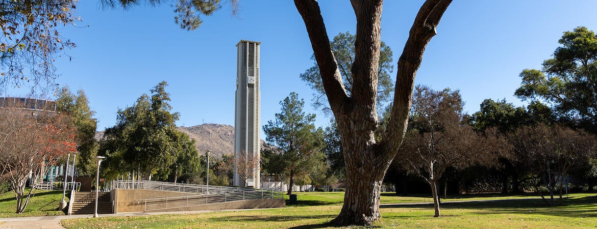 Campus bell tower view
