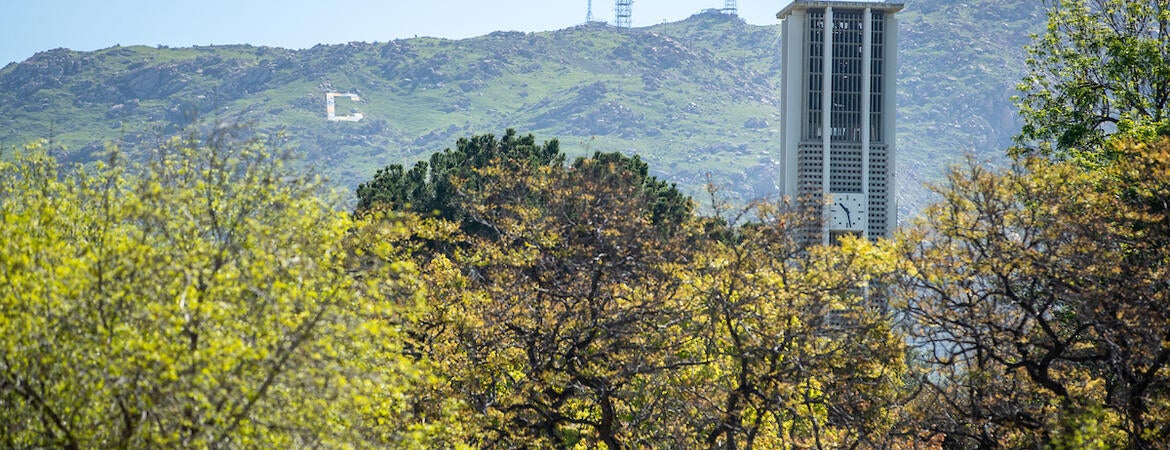 Campus belltower view
