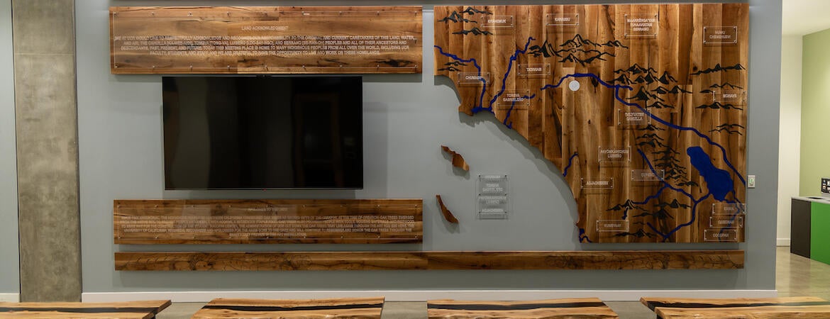 oak tree art display