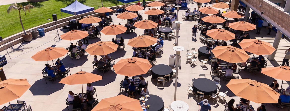 Chancellor's faculty and staff picnic