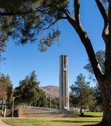 Campus bell tower view