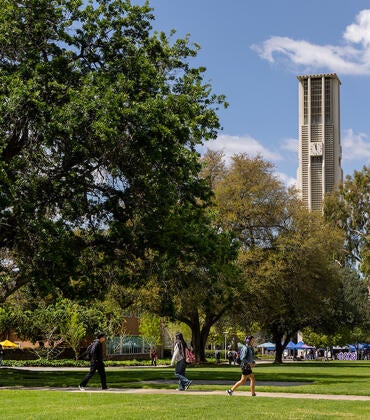 Pierce Lawn on campus