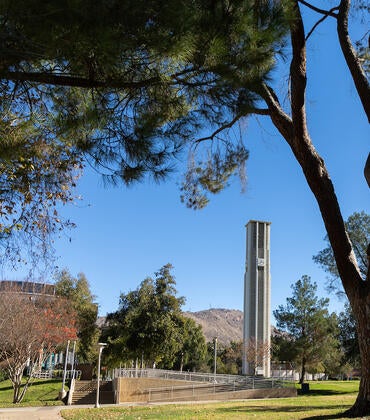 Campus bell tower view