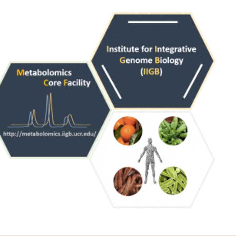 Logo and graphics of facility