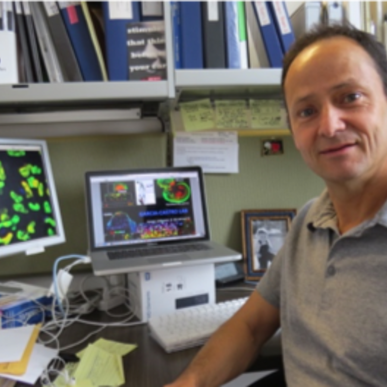 Martín García-Castro