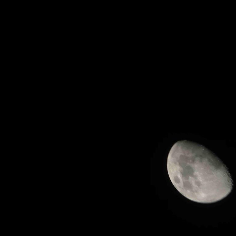 Moon landing anniversary celebration