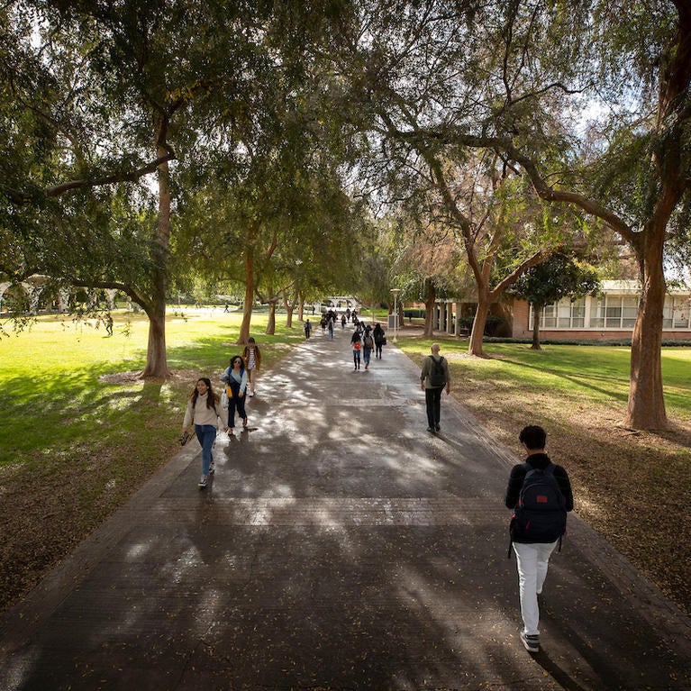 Students walking on campus