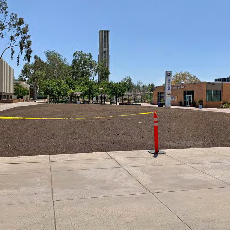 Native American garden 