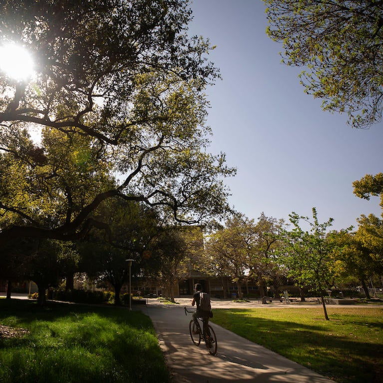 Man on bicycle on campus