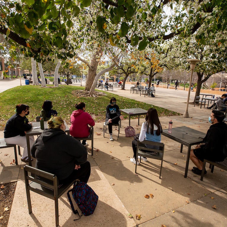 class discussion session outside