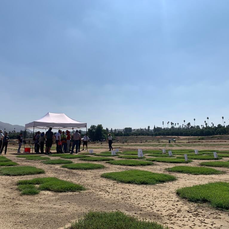 Turfgrass and Landscape field day