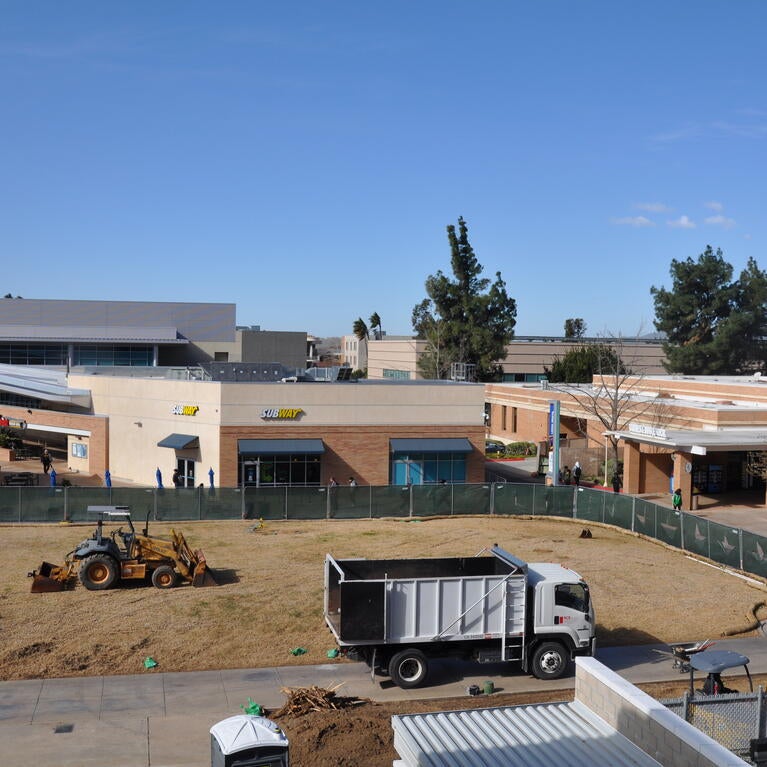 site prep for garden