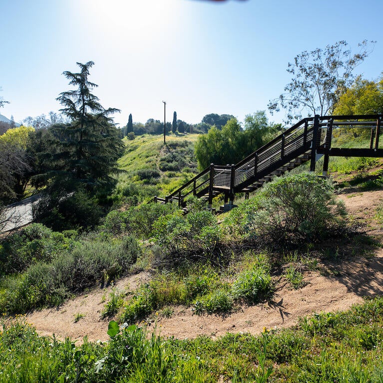 Botanic Gardens stairs