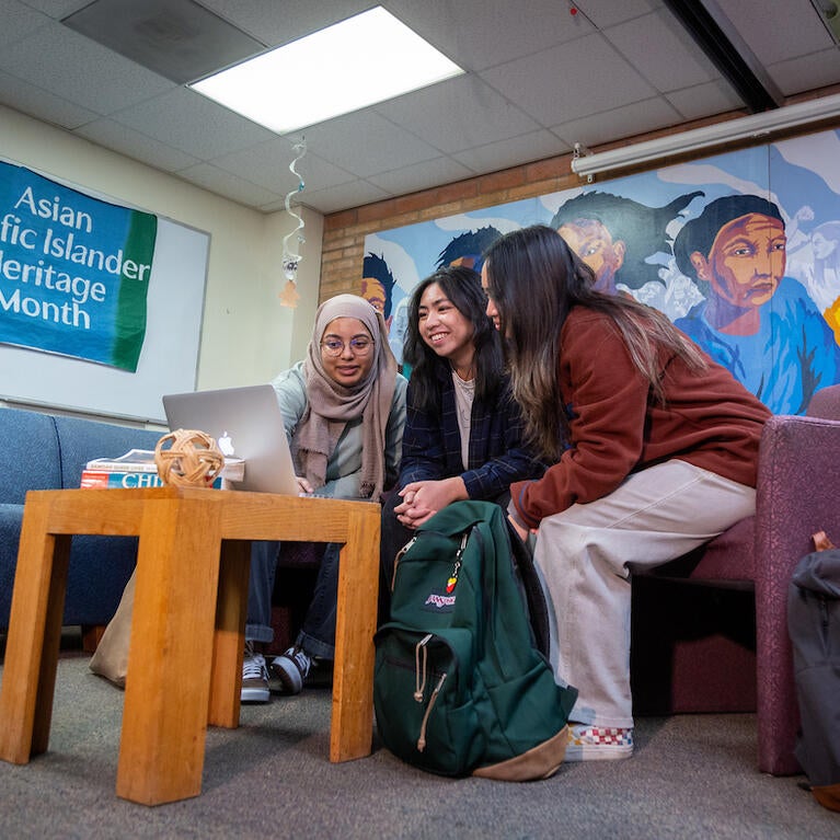 Asian American Pacific Islander students