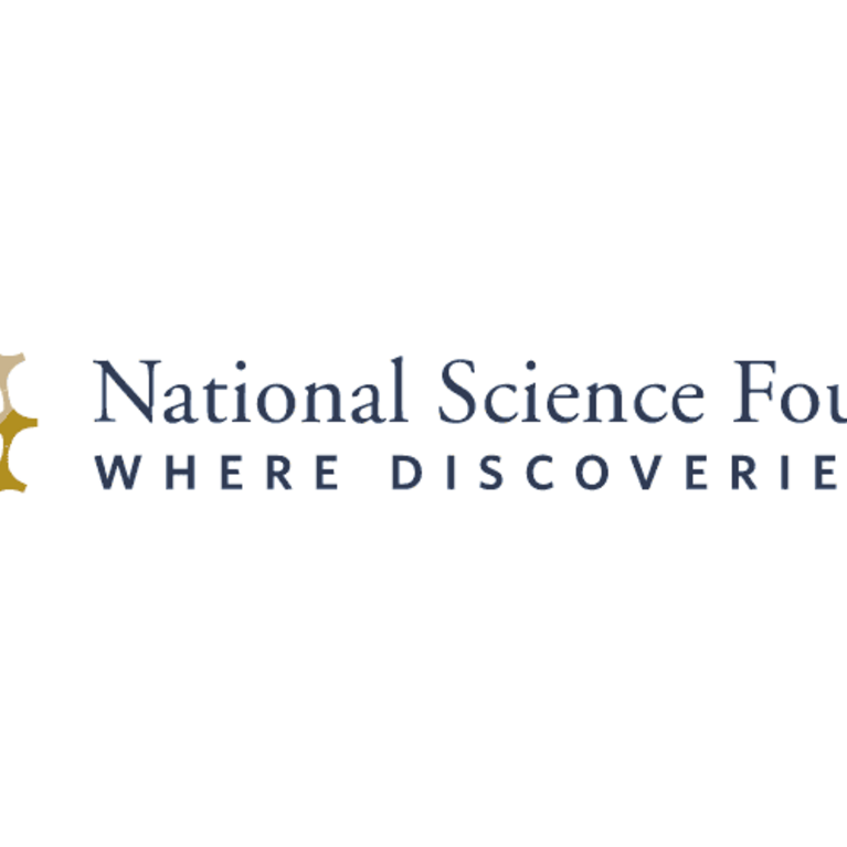 NSF Logo