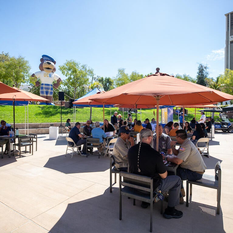 Chancellor's faculty and staff picnic
