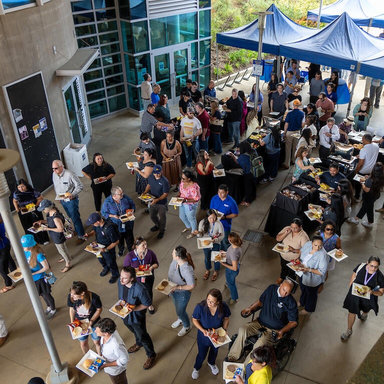 Chancellor's faculty and staff picnic