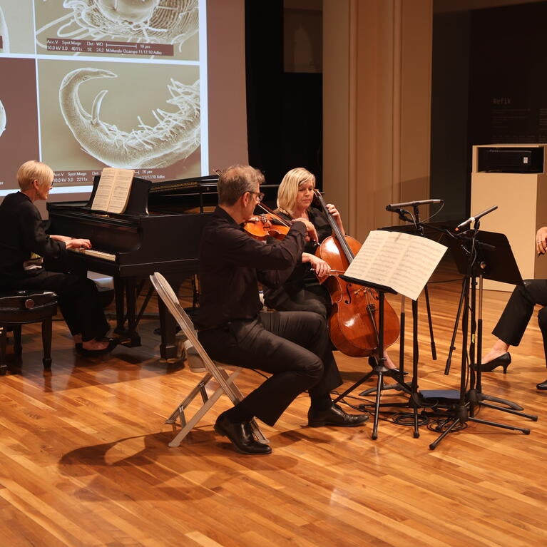 Musicians performing