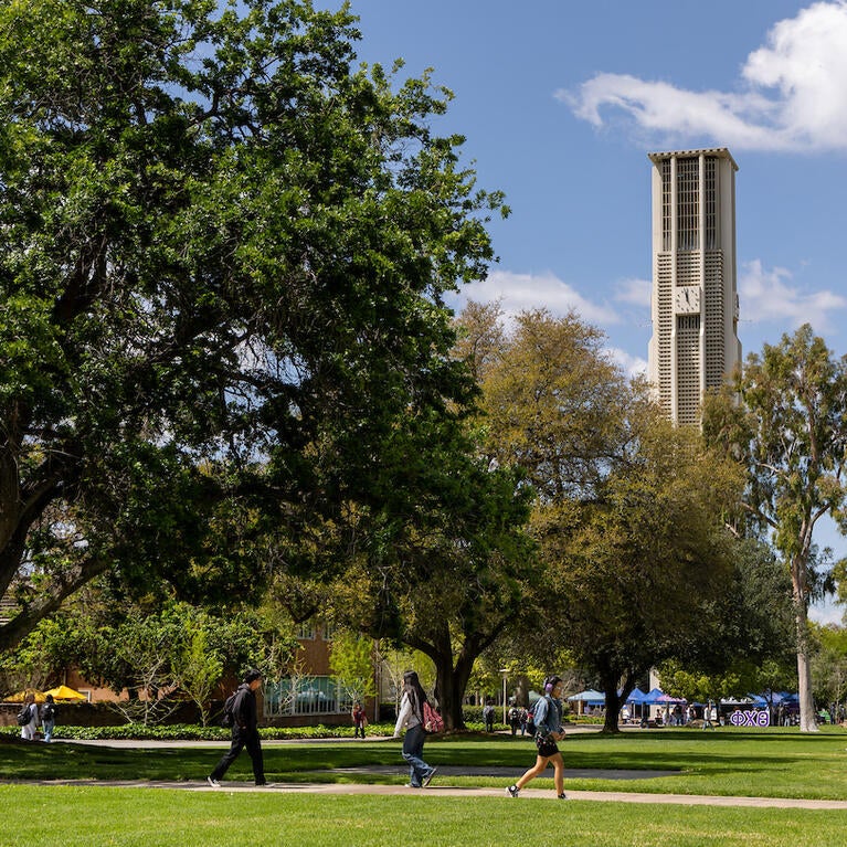 Pierce Lawn on campus