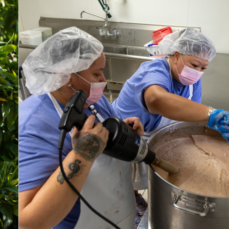 Ice cream making process