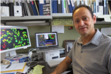 Martín García-Castro