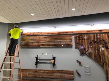 oak tree art display