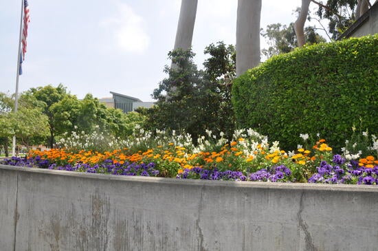 Flower bed at Hinderaker