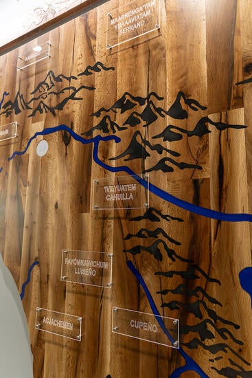Map display in oak tree art