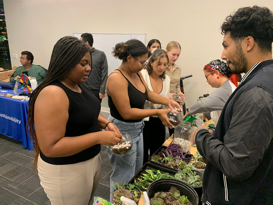 Desert bloom workshop