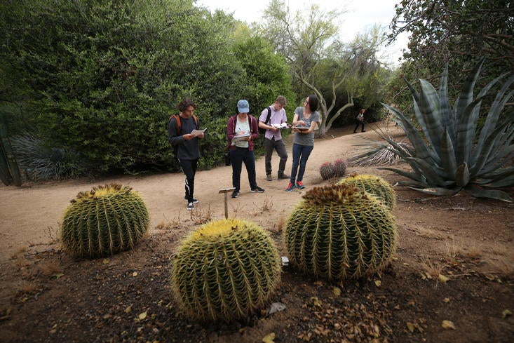 A class at Botanic Gardens