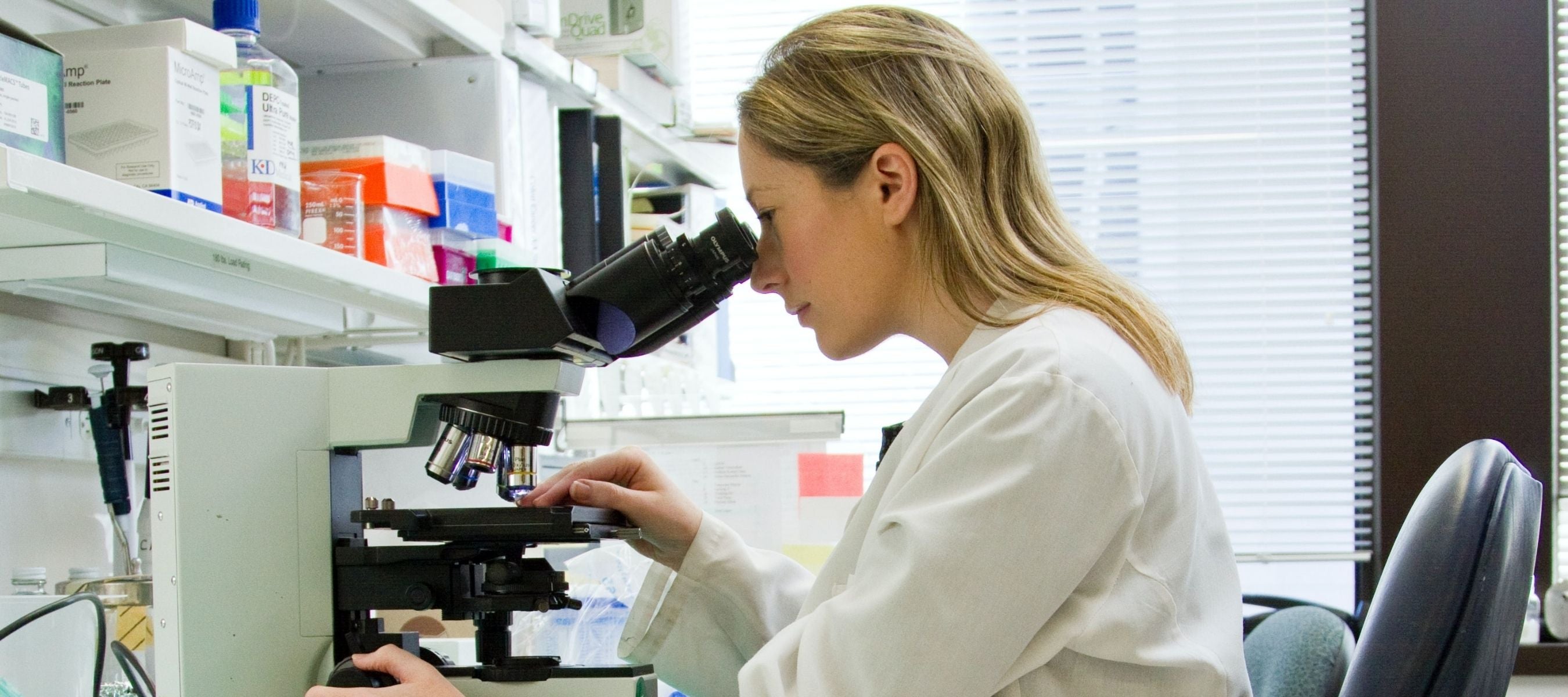 researcher looks in microscope