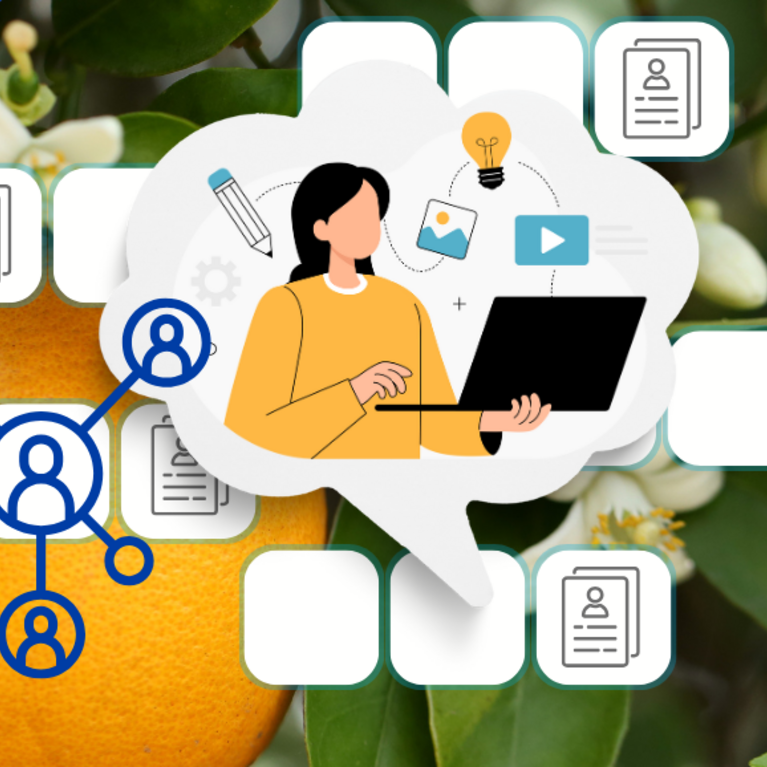 Image of a woman looking at an open laptop with an orange tree in the background