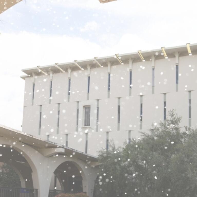 Image of the Rivera Library with snow falling