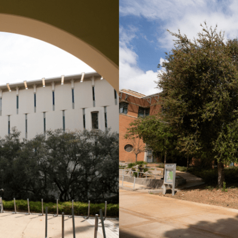Image of Rivera Library (left) and Orbach Library (right)