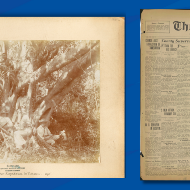 Images from the two digitized collection