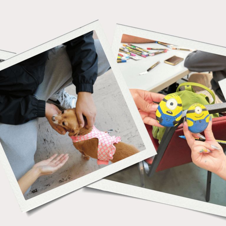 Images from various FWSR events. 