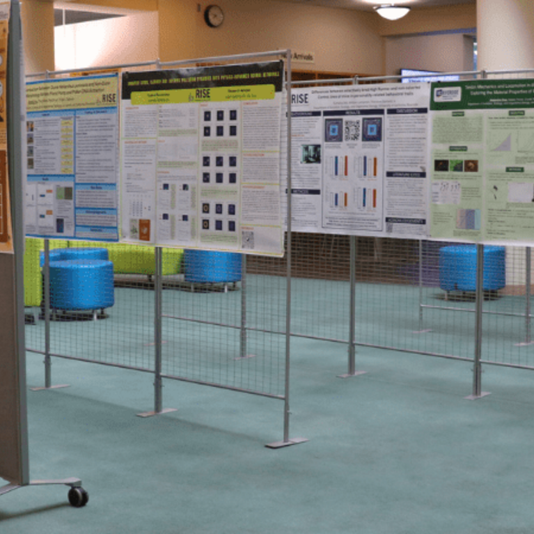 Image of RISE Poster Exhibit 2025