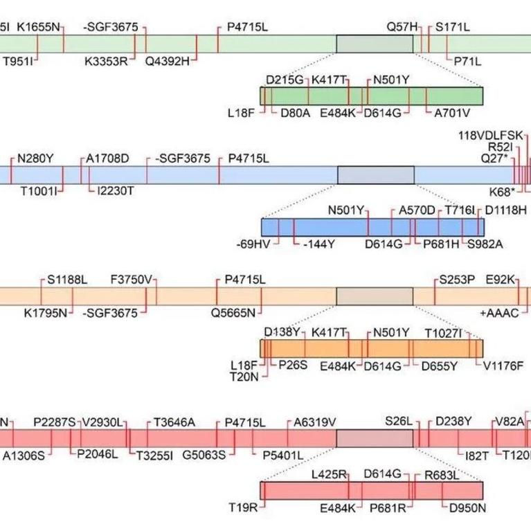 Gene map of common SARS-CoV-2 Variants, with Spike protein gene magnified