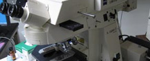 regular microscope in Keen Hall